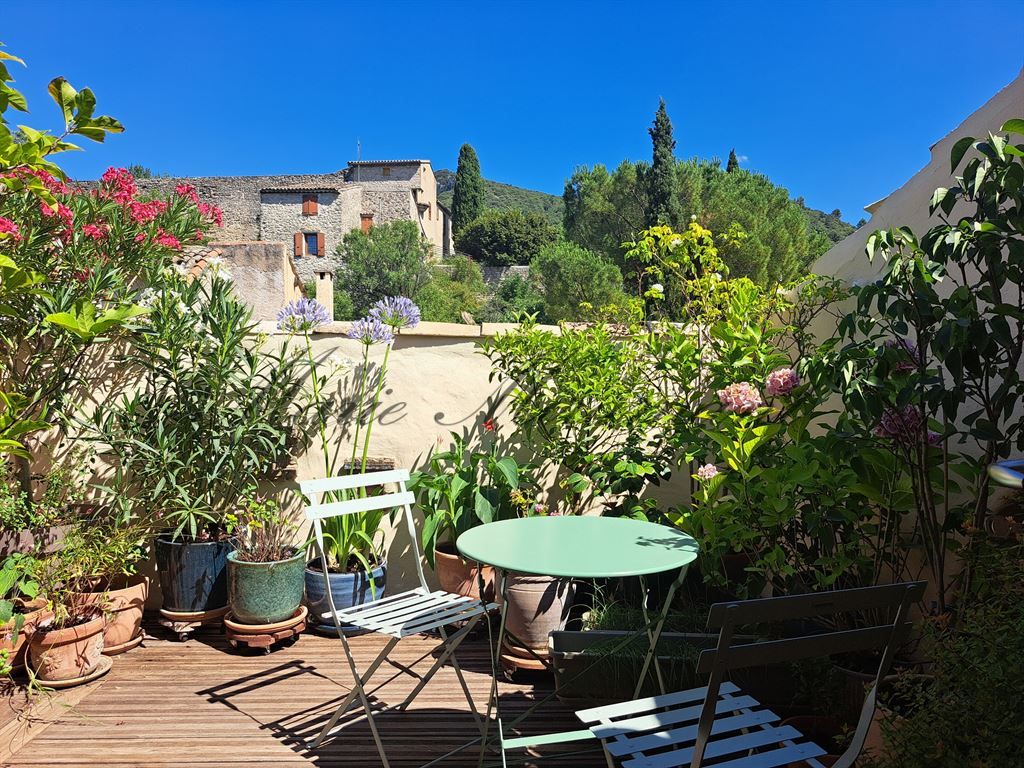 hôtel particulier 15 pièces en vente sur VAISON LA ROMAINE (84110)